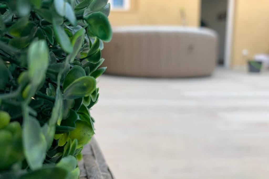 Apartamento Casa del Arbol en el Delta del Ebro Deltebre Exterior foto